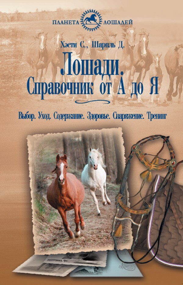 Купить книгу лошади. Книги про лошадей. Обложка книги с лошадью. Книга уход за лошадью. Планета лошадей книги.